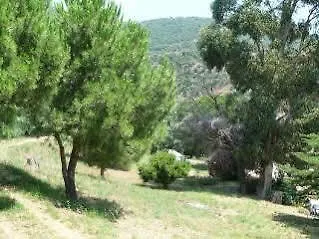 فندق Azur