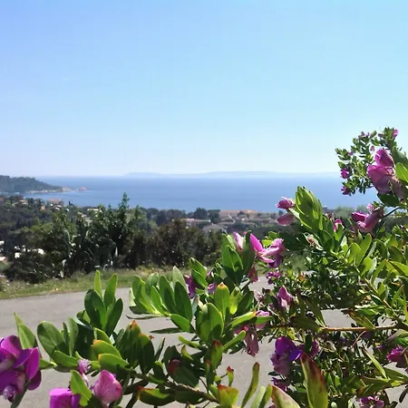 فندق Azur