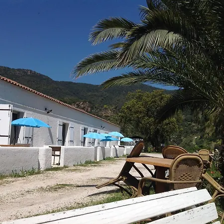 فندق Azur